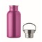 Einwandige Trinkflasche 500 ml