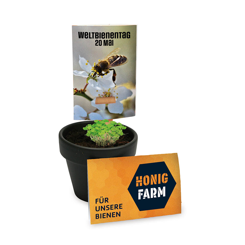 Bienenhelfer-Stick mit Samen - mit Standardgravur