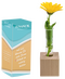 Mini-Vase