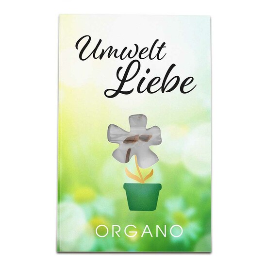 Samen-Karte-Mini Blume - Fichte