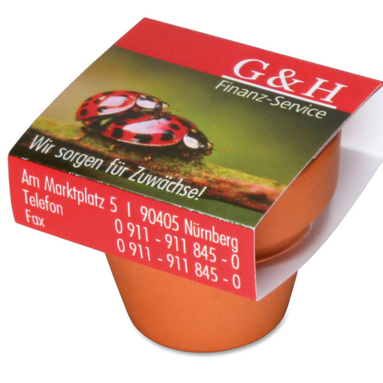 Logo-Topf mit Samen - teracotta - Fichte