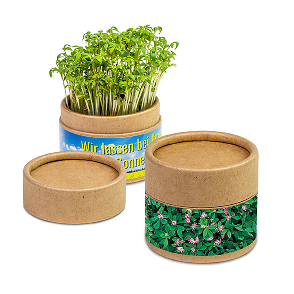 Pflanz-Cup mit Samen - Persischer Klee