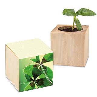 Pflanz-Holz mit Samen (Graspapier-Banderole) - Glücksklee-Zwiebel (* Je nach Verfügbarkeit der Glücksklee-Zwiebeln)