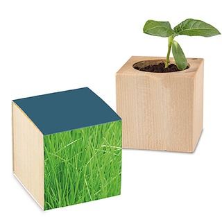Pflanz-Holz mit Samen - Gras, 1 Seite gelasert
