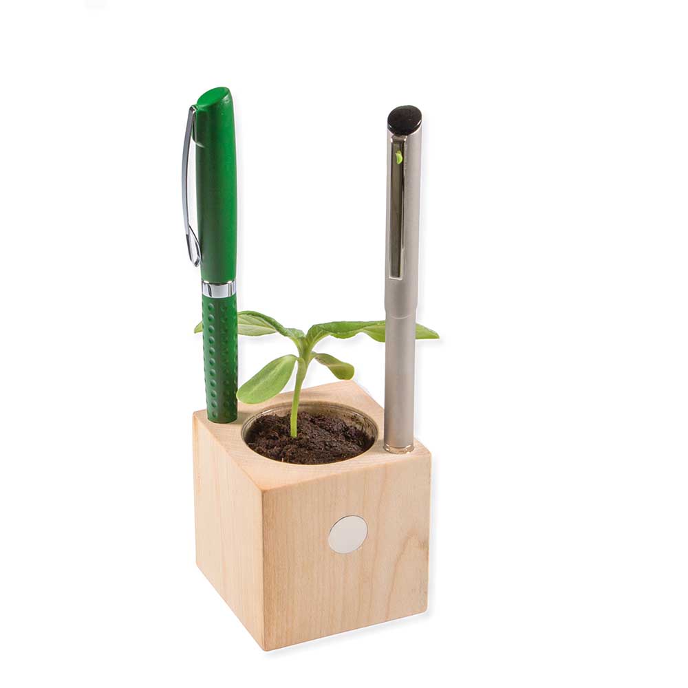 Pflanz-Holz Büro mit Samen - Basilikum