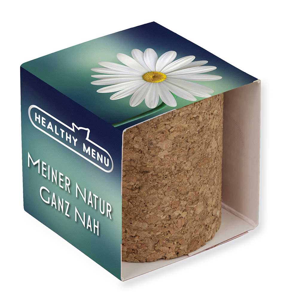 Pflanz-Kork rund mit Samen - Fichte