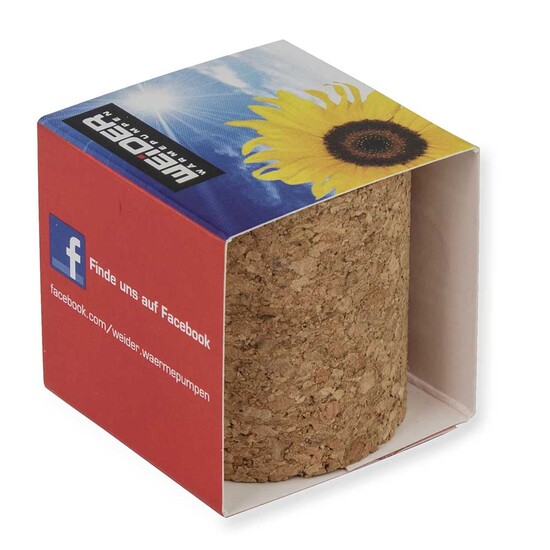 Pflanz-Kork rund mit Samen - Fichte