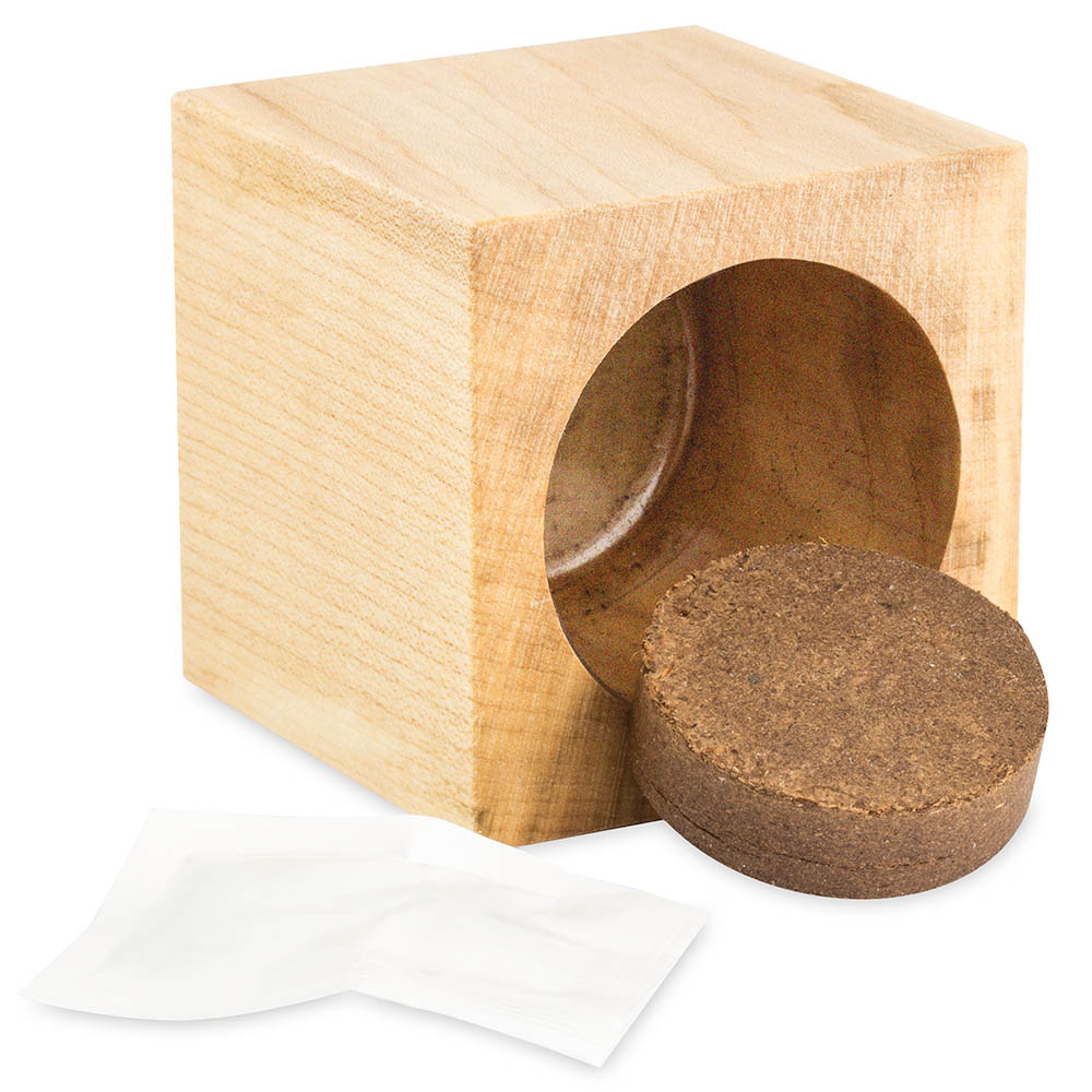 Pflanz-Holz Star-Box mit Samen - Fichte