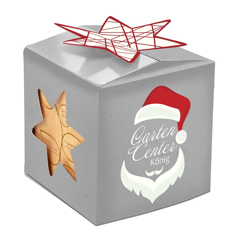 Pflanz-Holz Büro Star-Box mit Samen - Vergissmeinnicht, 1 Seite gelasert