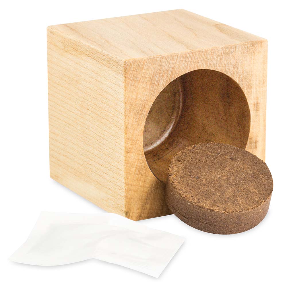 Pflanz-Holz Büro Star-Box mit Samen - Gewürzpaprika, 2 Seiten gelasert