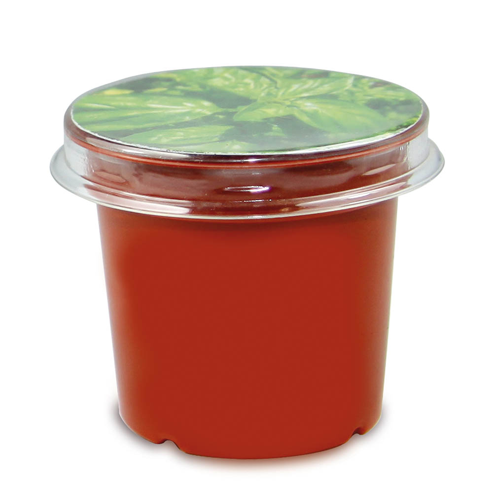 Florero-Töpfchen mit Samen - terracotta - Vergissmeinnicht