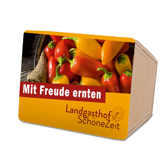 Mini-Beet mit Samen - Vergissmeinnicht