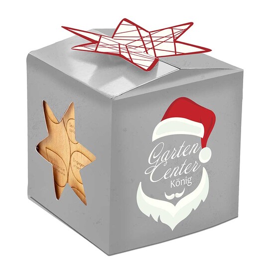 Pflanz-Holz Büro Star-Box Xmas mit Fichtensamen - Fichte, 1 Seite gelasert