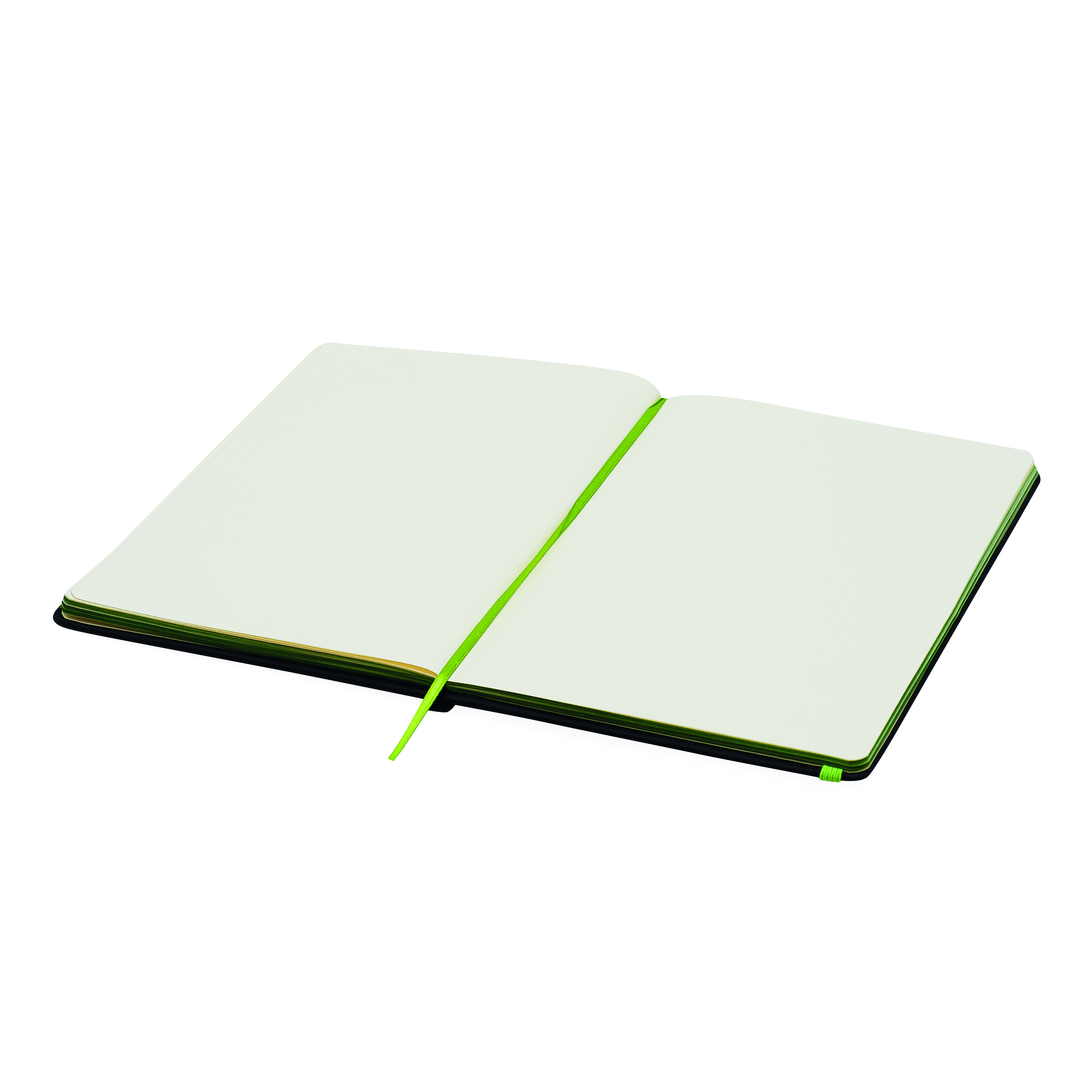 Notizbuch LECTOR im DIN-A5-Format