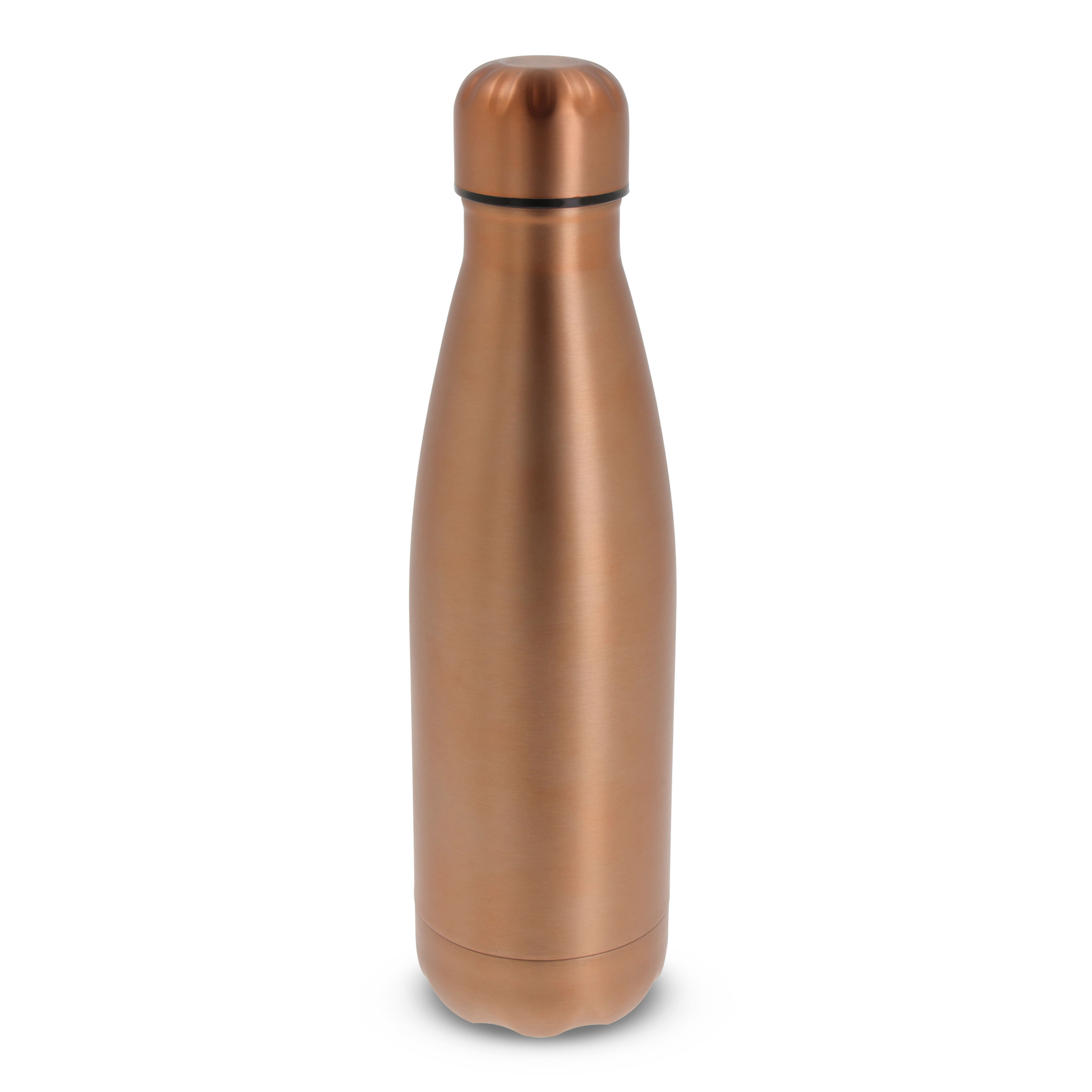 Flasche Swing Metallic Edition 500ml
