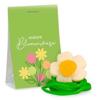 Essbare Blumenwiese