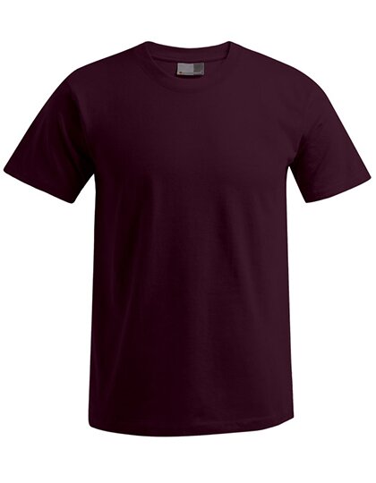 Men`s Premium-T