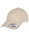 Ecowash Dad Cap