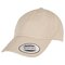 Ecowash Dad Cap