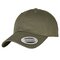 Ecowash Dad Cap
