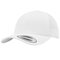 Curved Classic Snapback
