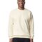 Softstyle® Midweight Fleece Adult Crewneck Sweatshirt