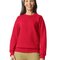 Softstyle® Midweight Fleece Adult Crewneck Sweatshirt