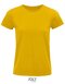 Pioneer Women T-Shirt