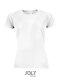 Women`s Raglan Sleeves T Sporty