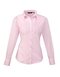 Ladies` Poplin Long Sleeve Blouse