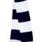 Team Scarf