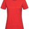 Classic-T Fitted Women