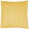 Pillow Case